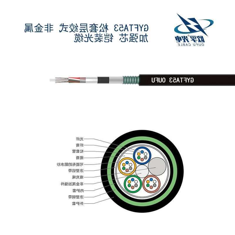 襄阳市GYFTA53光缆